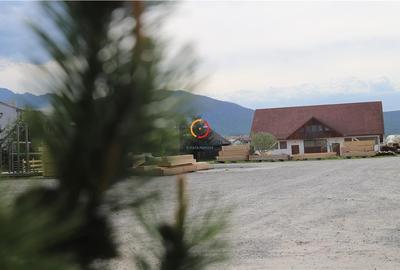 Constructii si teren  intravilan18.000 mp - 30