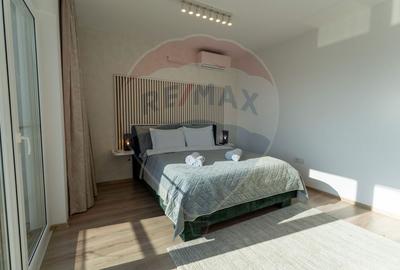 Inchiriere Penthouse 4 camere Alphaville Arena - 17