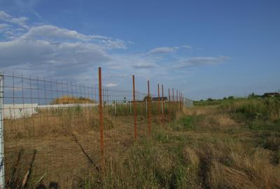 Domnesti-teghes strada Bucegi intersectie Oltenitei - 4