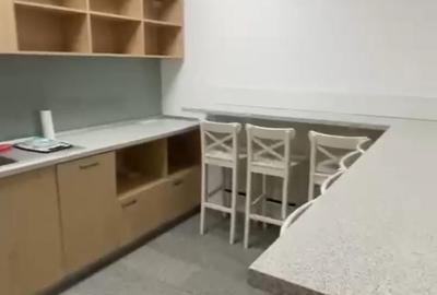 Comison ZERO birouri langa Iulus Town 222mp cu terasa spre P-ta Consiliu Europei - 6