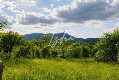 Teren agricol extravilan de 814 mp, în Tălmaciu