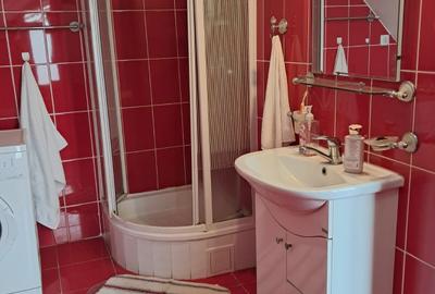 Apartament la casa de inchiriat - 6