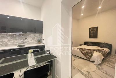 Chirie, Apartament 2 camere Centru , bulevardul Revoluției, Teatru - 9