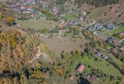 Teren intravilan 16.804 mp, Simon–Bran, vedere spre Bucegi - 5