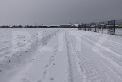 Teren Construcții intravilan de 12000 mp, în Nord-Vest