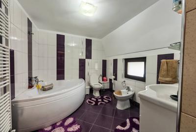 Duplex Sfântu Ilie, zona Profi de vânzare - 7