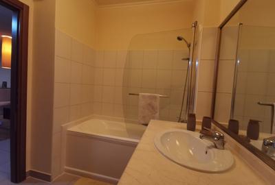 Apartament 2 camere de închiriat lângă Parcul Carol - 80 mp - 13