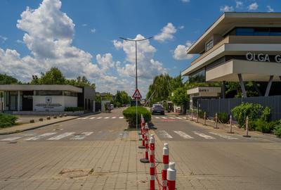 INDIVIDUAL Villa, 4 rooms, 255sqm, Oxford Gardens Pipera! - 43