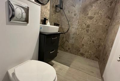 Drumul Taberei Raul Doamnei 2 camere renovat total - 10