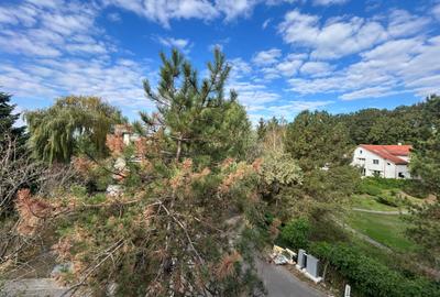 Casa Vila noua , lux  Iancu Nicolae Baneasa - Pipera de inchiriat - 7