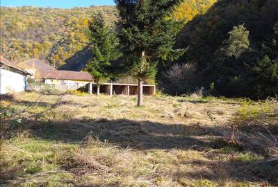 Teren intravilan ideal si de investitie, in Loc. Resita, strada Ciresului - 4