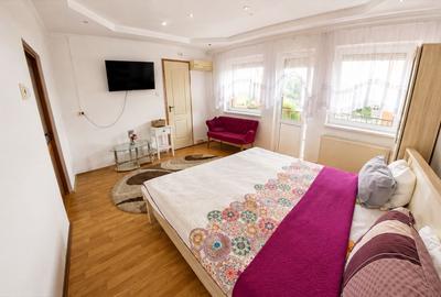 Afacere funcțională - Sală de Evenimente–Motel – Loc. Valea lui Mihai - 11
