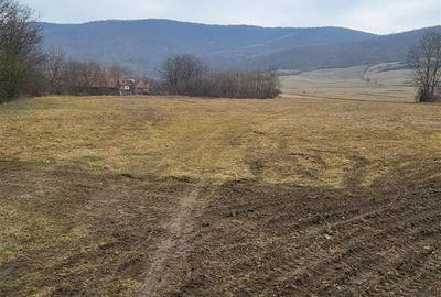 Teren pentru 2 case in Mera - 2