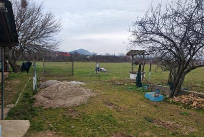 Casă bătrânească + Teren generos 4.208 mp – Cerna, Tulcea (Toate utilitățile) - 10