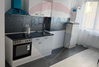Apartament cu 3 camere decomandat, mobilat în Brazda lui Novac