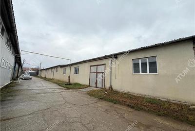 Hala industriala 1200 mp utili de inchiriat in Cisnadie - 14