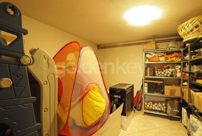 Vila cu 9 camere, 5 bai | D+P+1+M | 416mp teren - 29