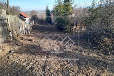 Teren agricol intravilan de 2000 mp, în Daia