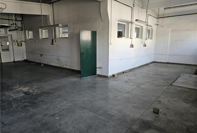 Exclusivitate - Proprietate Industriala De Vanzare - Productie - Depozitare - 6