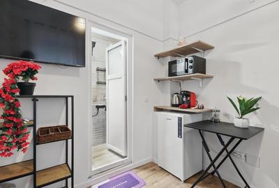 Casa  individuala si afacere la cheie - oportunitate -investiție - 42