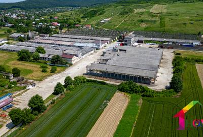 Teren 100.000 mp + Spatii Industriale Bacau - 8