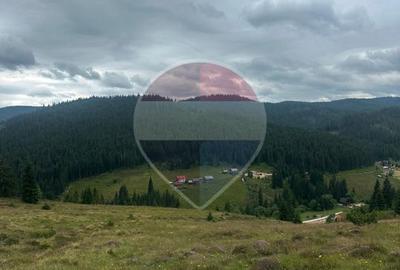Teren 2,42 ha in Poiana Horea | Cadru montan | Potential turistic - 2
