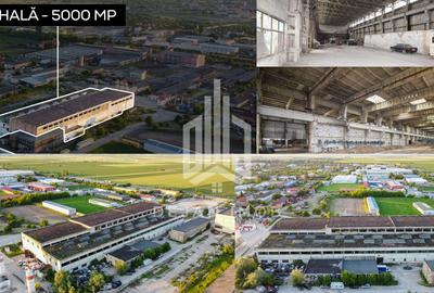 Spațiu industrial | 100 MP | Sfântu Gheorghe - 6