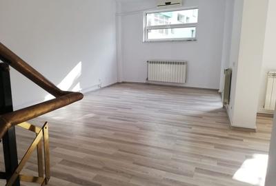 Vila la inchiriere in zona Titulescu - 10