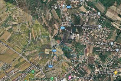 Teren Construcții extravilan de 5000 mp, în Oncea