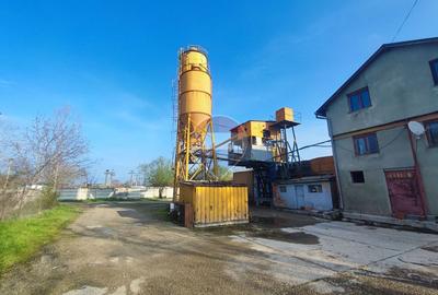 De închiriat platforma betonata 3178 mp teren si șopron, Borșului 47 - 5