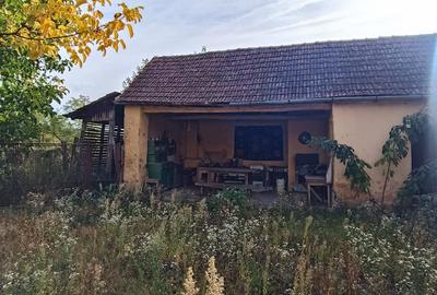 🏡  Teren generos cu Casă de Poveste în Șiria, Arad- Locație Rară - 11