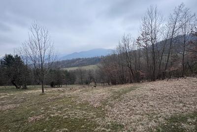 6000 MP intravilan, sat Bistrita, 9 Eur/MP - 2
