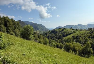 Teren superb intravilan  Pestera- Brasov, 11.908 mp - 11