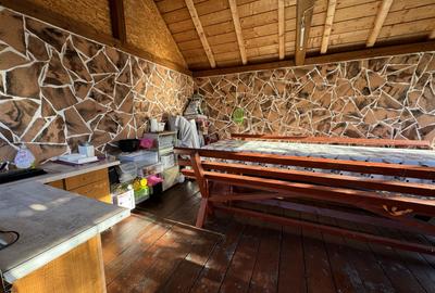 Cabana, 4 camere, 120 mp, teren 410 mp, Marisel - 15