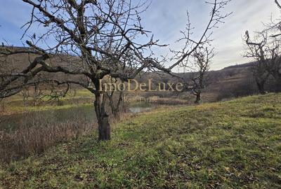 Teren extravilan langa lac, 8500mp, priveliste, acces, utilitati, zona Baciu - 4