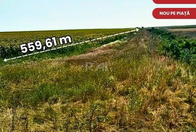 Vizionar: 17.000 mp langa intravilan-560 m de Centura Sud-3,4 EUR/mp! - 2