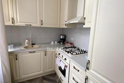 Apartament 60 Euro pe zi, amenajat in stil unic langa Primaria Arad - 10