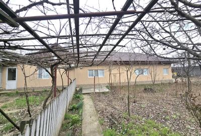 Casa parter, Zona Vidin cartier Teiului Mobilata complet - 1