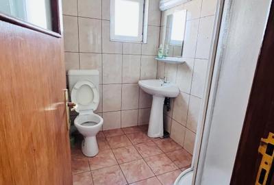 Casa închiriere Banatului 91, stradal, central, particular, pretabil birouri - 10