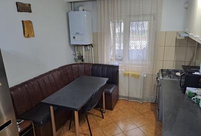 Salaj - Parc Pecineaga, centrala proprie, amenajat, mobilat, utilat, boxa - 6