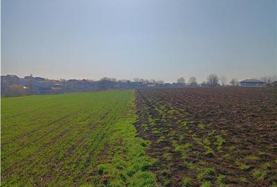 OCAZIE! Vorovesti Teren 83000mp intrav. si extrav. cu utilitati - 1