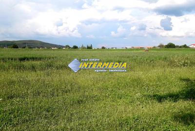 Teren de vanzare in Oarda, zona Ses la sosea 2000 mp - 3
