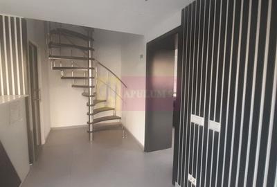 Spatiu Comercial Stradal Șoseaua Colentina zona Teiul Doamnei Suveica - 45