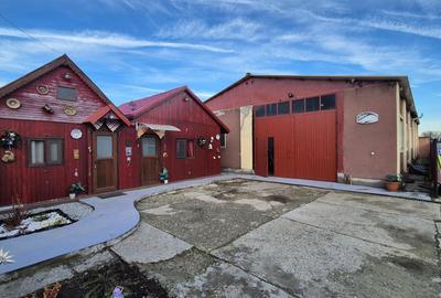 Vanzari Case / Vile Magurele - 1