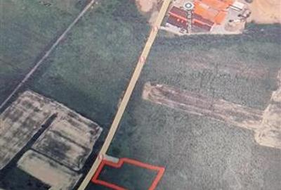 Bocsa 2 terenuri INTRAV. 1500 Mp(17.900 Euro) si 3000 Mp.(32.900 Euro) la Drumul - 3