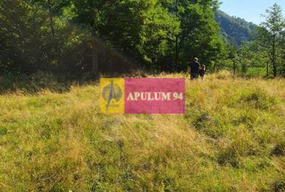 Teren Județul Vâlcea - Brezoi, Valea lui Stan - 6
