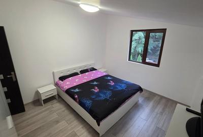 Casă P+1 golful Mraconia cu vedere la apă, 2 km de Chipul lui Decebal - 3