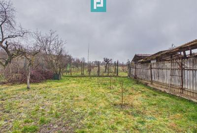Vilă stil montan, 270 mp, teren 3000 mp - 5