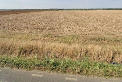 Teren agricol extravilan de 15008 mp, în Nuci