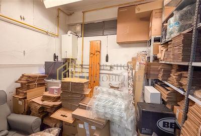 SPATIU COMERCIAL TEI PARCUL CIRCULUI IDEAL DEPOZIT / LOGISTICA - 9